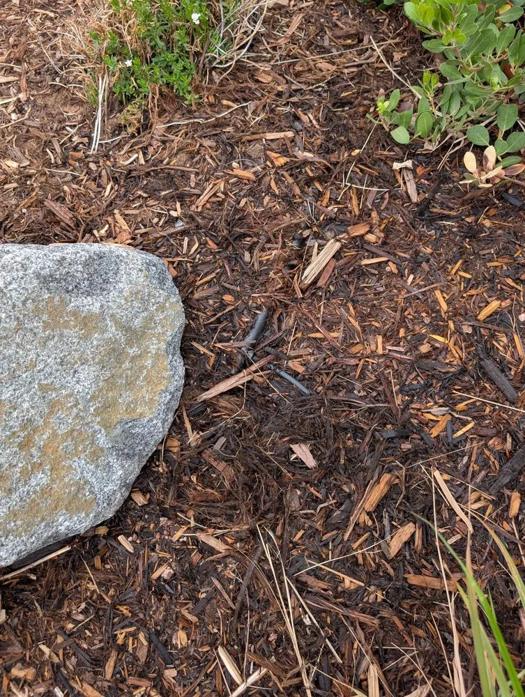 Expert landscape installation in Greenwood Village, CO - Sharp Landscaping