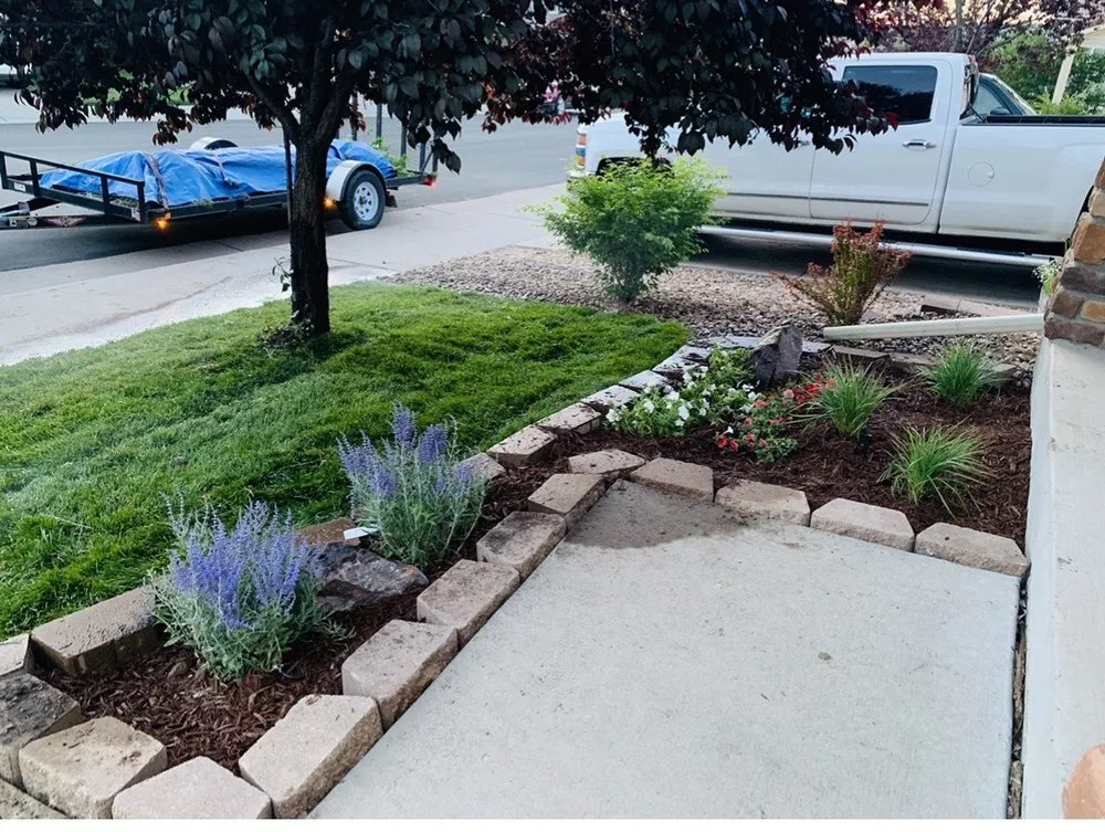 Reliable yard cleanup service in Greenwood Village, CO - Sharp Landscaping
