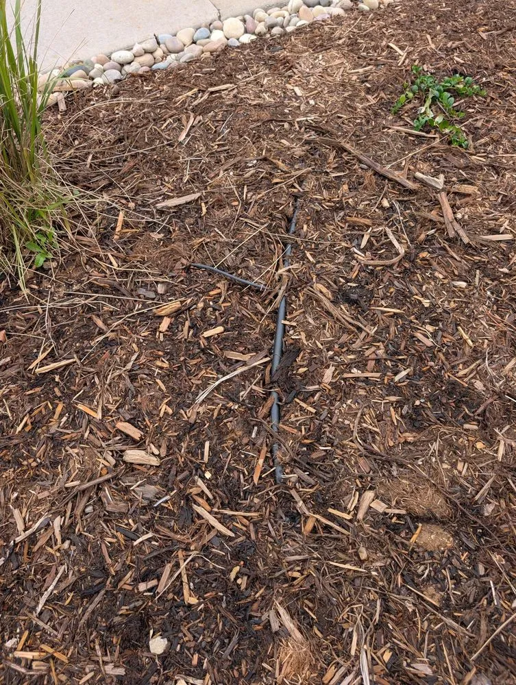 Top-rated yard maintenance in Greenwood Village, CO by Sharp Landscaping