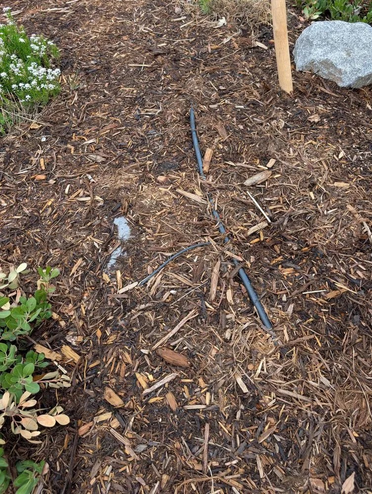 Affordable yard maintenance in Greenwood Village, CO - Sharp Landscaping