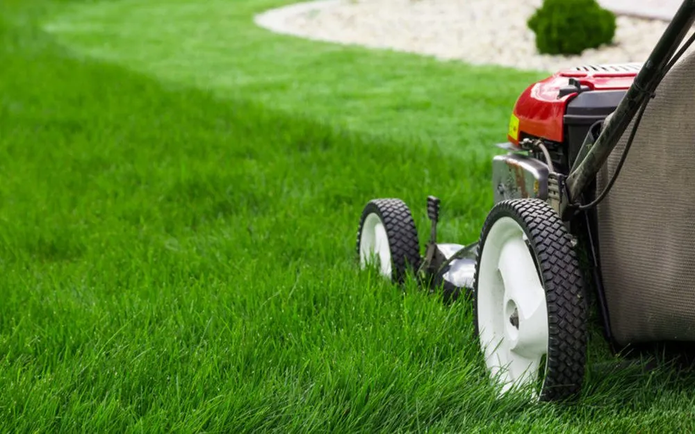Professional lawn care service for beautiful yards in The Villages, FL by Sharp Lawn & Landscape