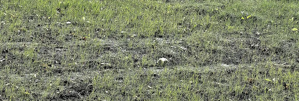 Custom outdoor landscaping in Sioux City, IA - Sharp Lawn Care, Sioux City