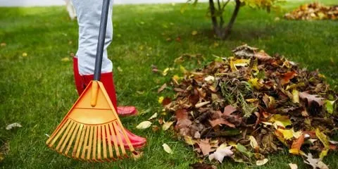 Custom landscape design experts serving Nicholasville, KY - Sharp Lawn