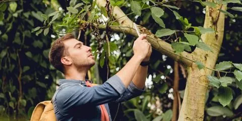 Affordable lawn mowing service for outdoor upgrades across Nicholasville, KY - Sharp Lawn