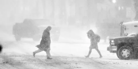 Trusted lawn mowing service experts serving Nicholasville, KY - Sharp Lawn