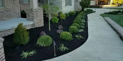 Professional yard maintenance near you in Nicholasville, KY by Sharp Lawn