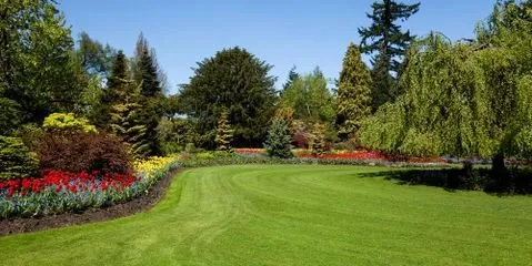 Affordable landscape installation in Nicholasville, KY by Sharp Lawn