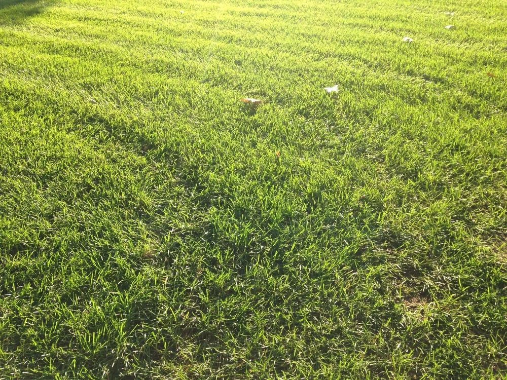 Top-rated landscape installation for outdoor upgrades across Howell, NJ - Sharp Lawns & Landscapes