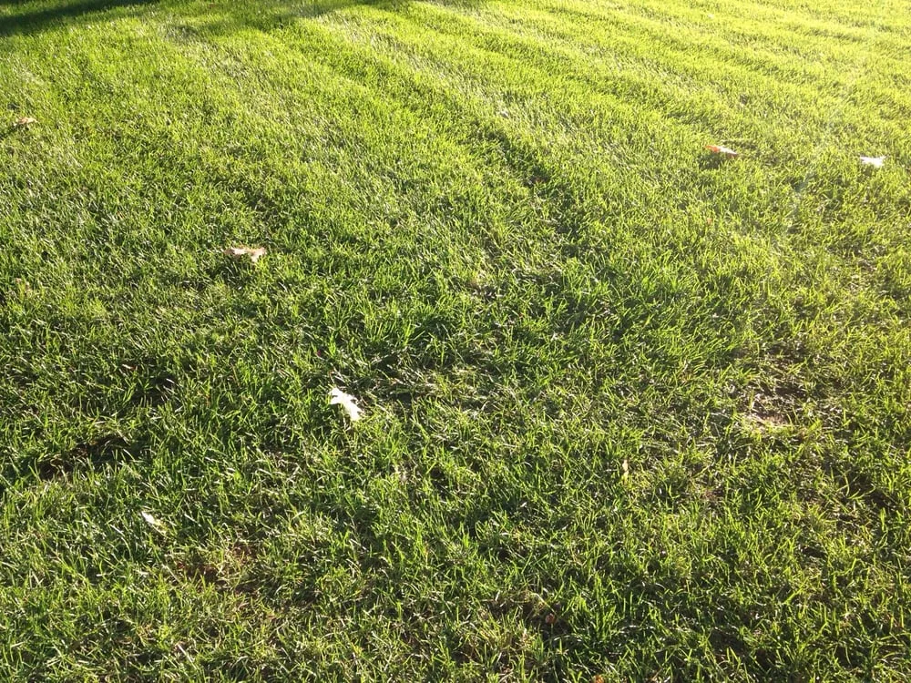 Expert landscaping services for residential properties in Howell, NJ by Sharp Lawns & Landscapes