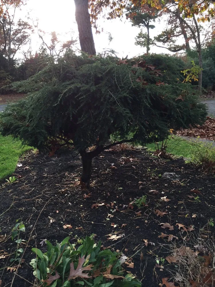 Expert garden landscaping for beautiful yards in Howell, NJ by Sharp Lawns & Landscapes