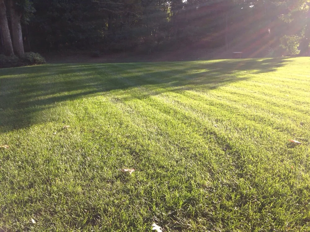 Professional garden landscaping in Howell, NJ by Sharp Lawns & Landscapes