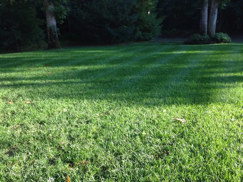 Expert lawn mowing service experts serving Howell, NJ - Sharp Lawns & Landscapes
