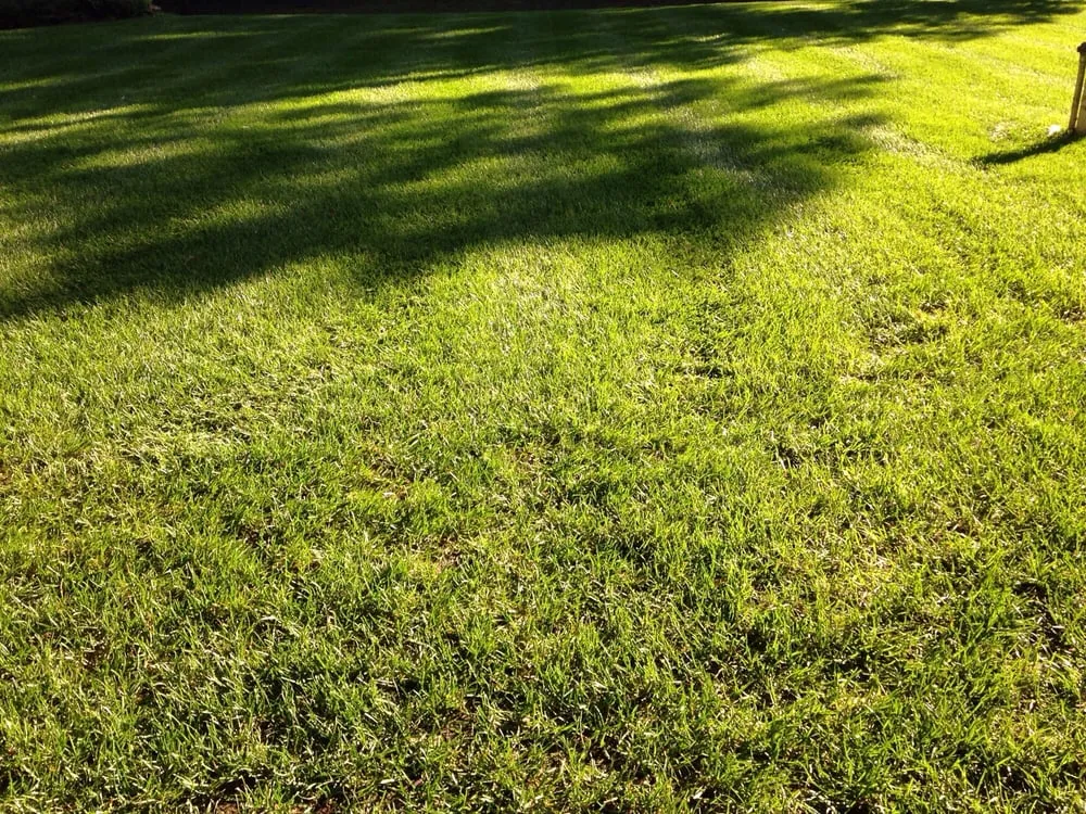 Expert outdoor landscaping in Howell, NJ by Sharp Lawns & Landscapes