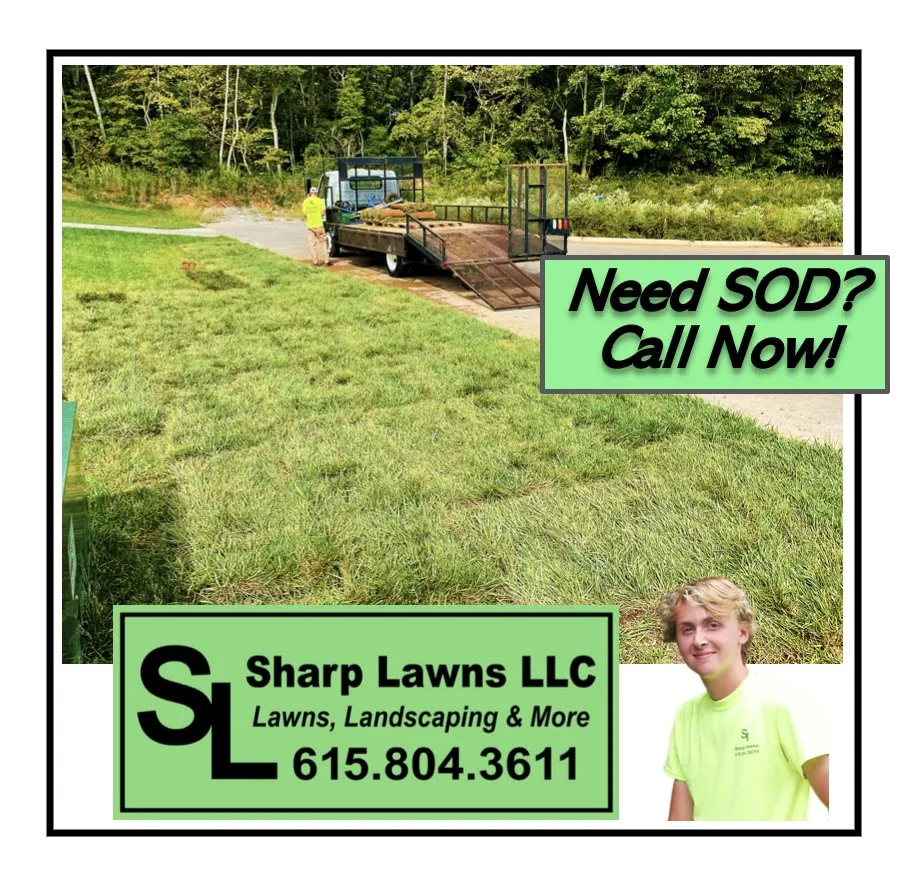 Custom lawn mowing service in Mt. Juliet, TN - Sharp Lawns