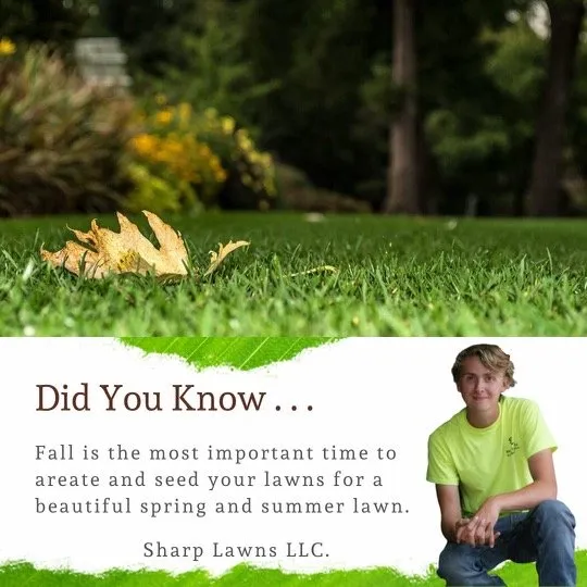 Trusted yard maintenance experts serving Mt. Juliet, TN - Sharp Lawns