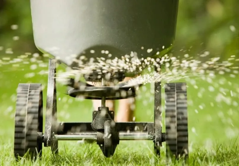 Affordable yard cleanup service for homes across Cheyenne, WY - Sharp Lawns of Cheyenne