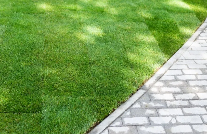 Reliable landscape design for homes in Cheyenne, WY by Sharp Lawns of Cheyenne