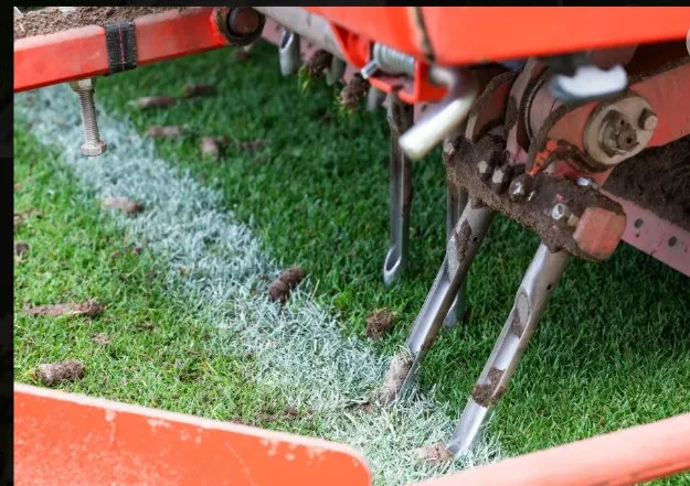 Reliable garden landscaping experts serving Cheyenne, WY - Sharp Lawns of Cheyenne