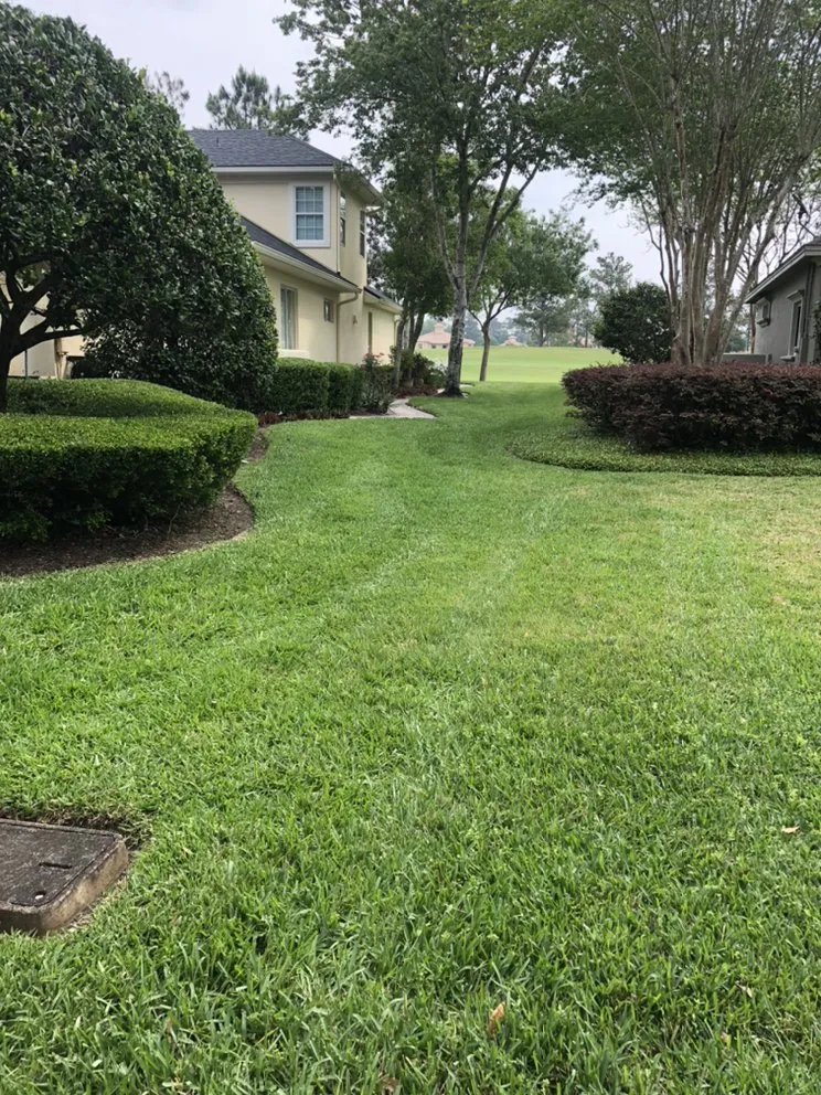 Trusted lawn care service experts serving St. Augustine, FL - Sharp Lawns