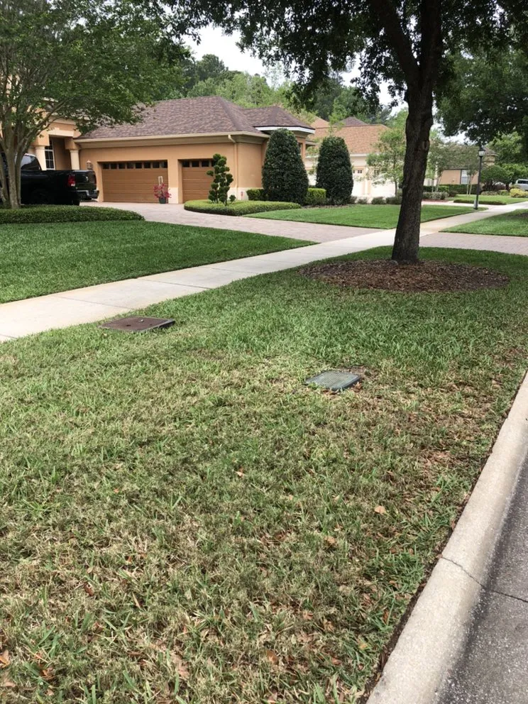 Expert landscaping services for beautiful yards across St. Augustine, FL - Sharp Lawns