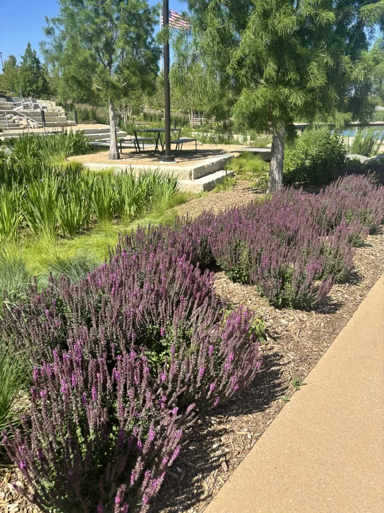 Local lawn care service with custom design across Santa Fe, NM - Sharp Masonry & Landscape