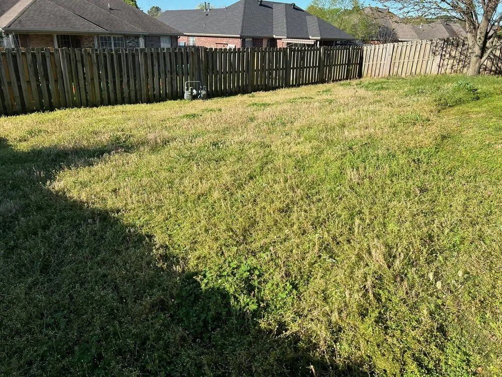 Expert yard cleanup service in Bentonville, AR - Sharp Scapes