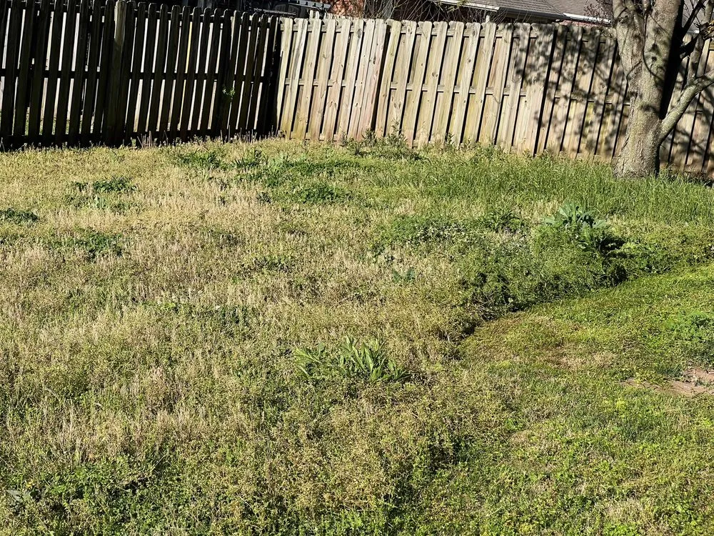 Professional landscape design near you across Bentonville, AR - Sharp Scapes