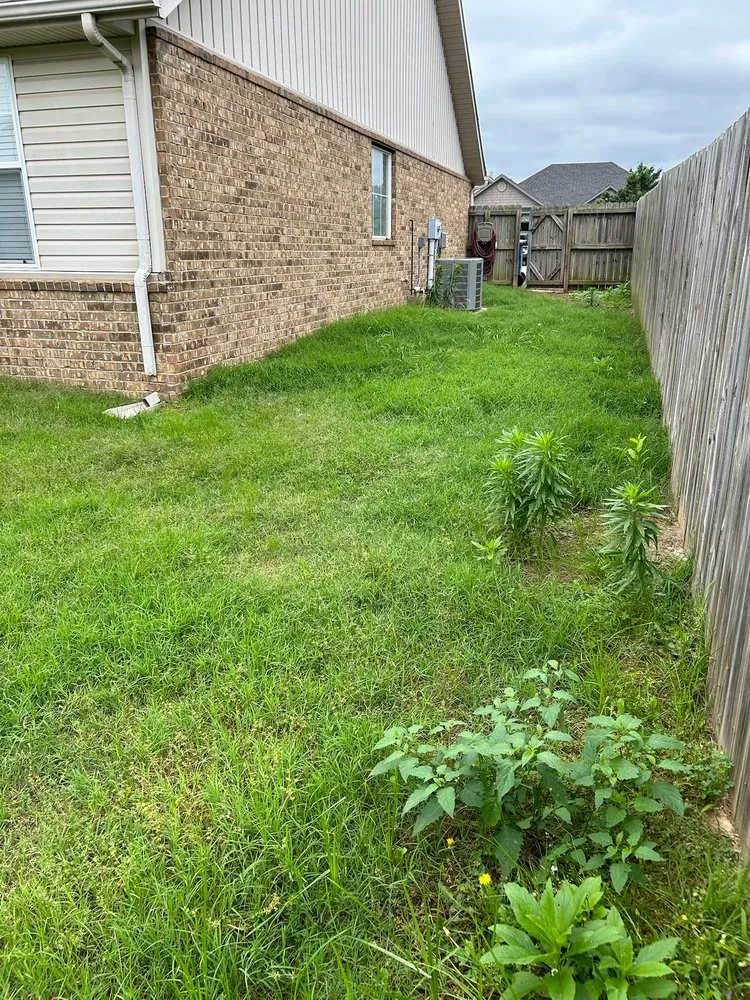 Expert garden landscaping near you across Bentonville, AR - Sharp Scapes