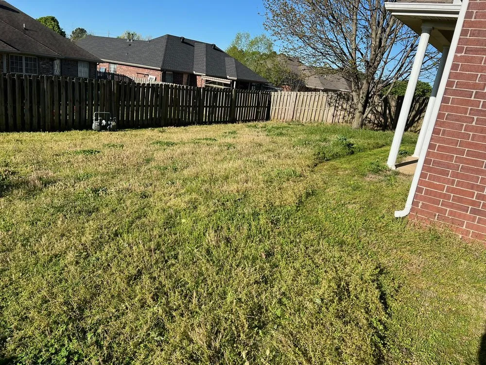 Expert garden landscaping for year-round maintenance across Bentonville, AR - Sharp Scapes