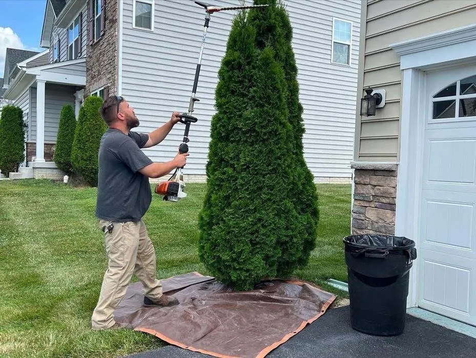 Expert yard maintenance experts serving Martinsburg, WV - Sharp Solutions