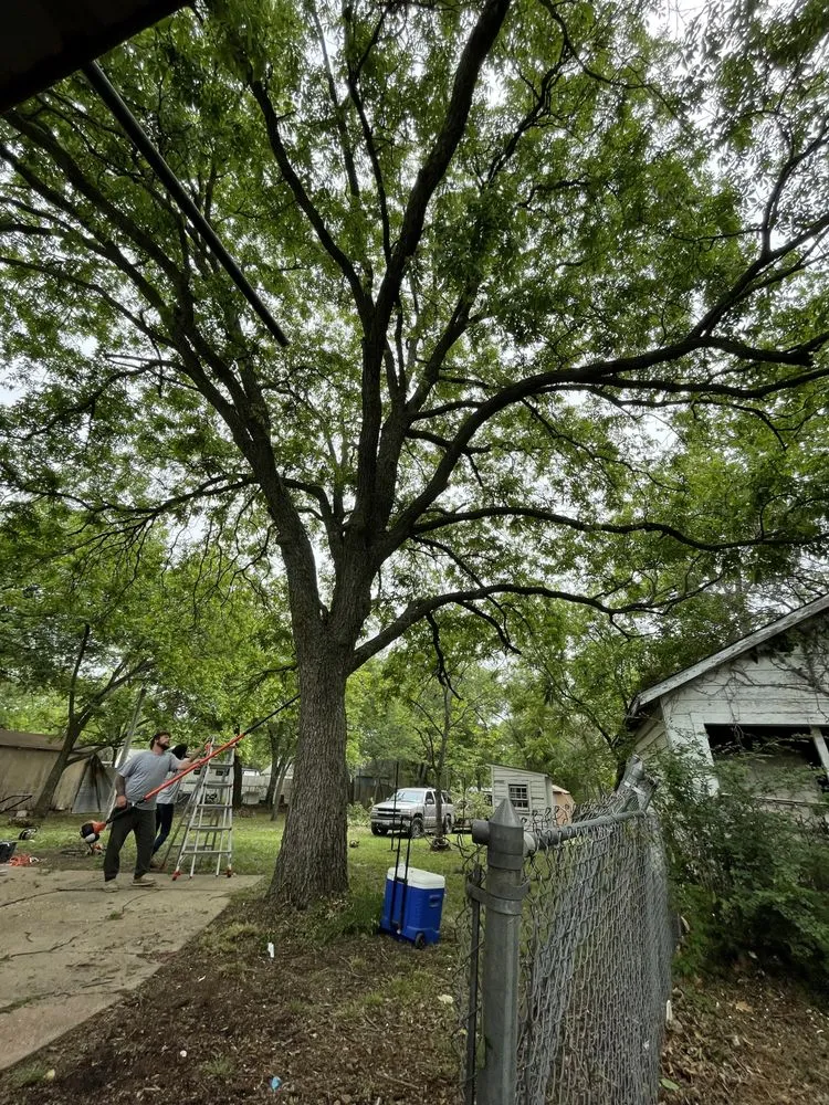 Custom landscape installation for residential properties across Weatherford, TX - Sharp Streaks