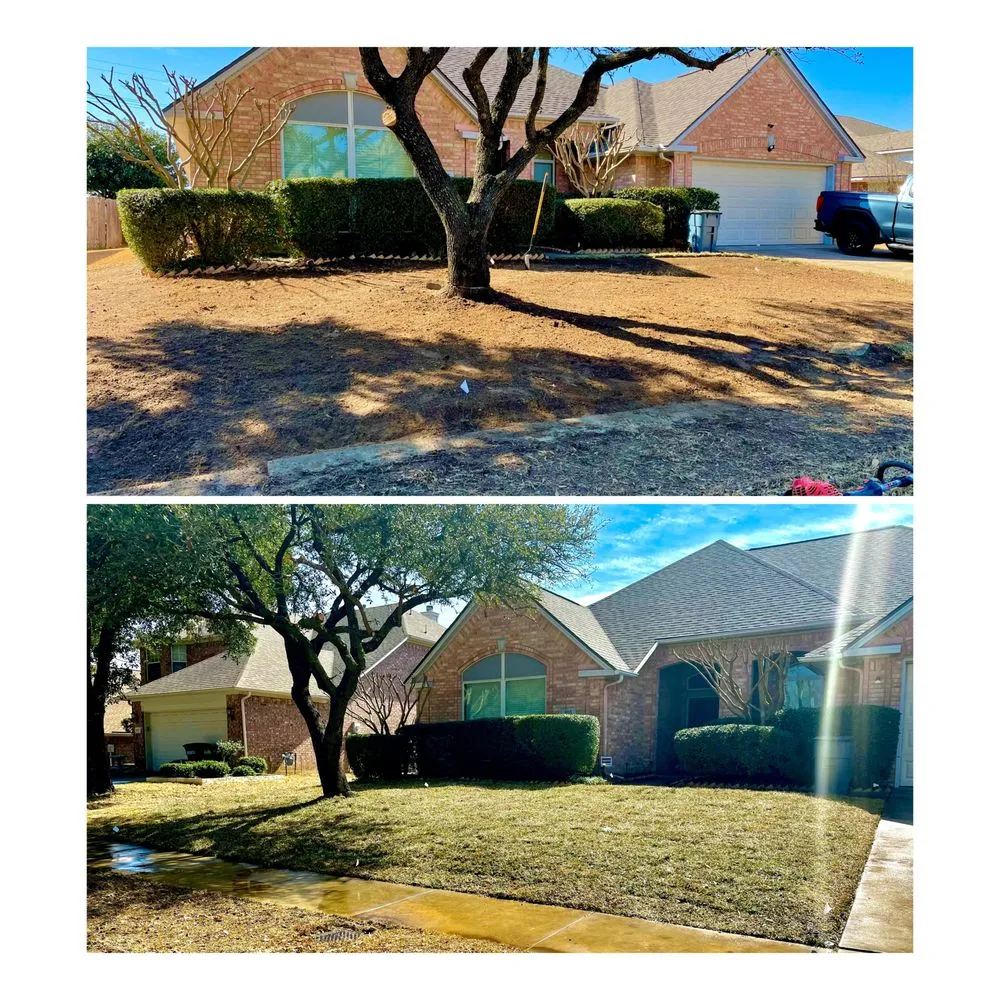 Custom landscape installation in Weatherford, TX - Sharp Streaks