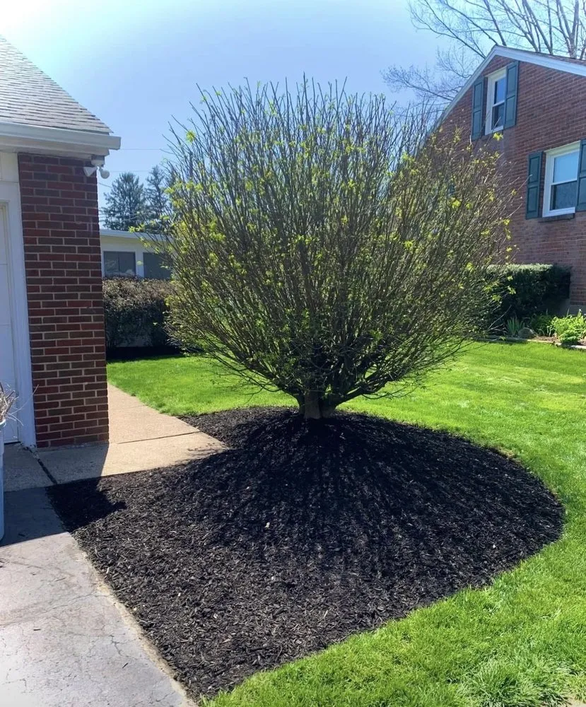 Custom yard cleanup service for outdoor upgrades in Bethlehem, PA by Sharp Yard Services