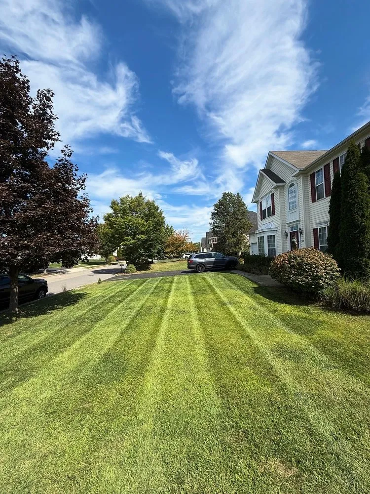 Professional outdoor landscaping in Bethlehem, PA by Sharp Yard Services