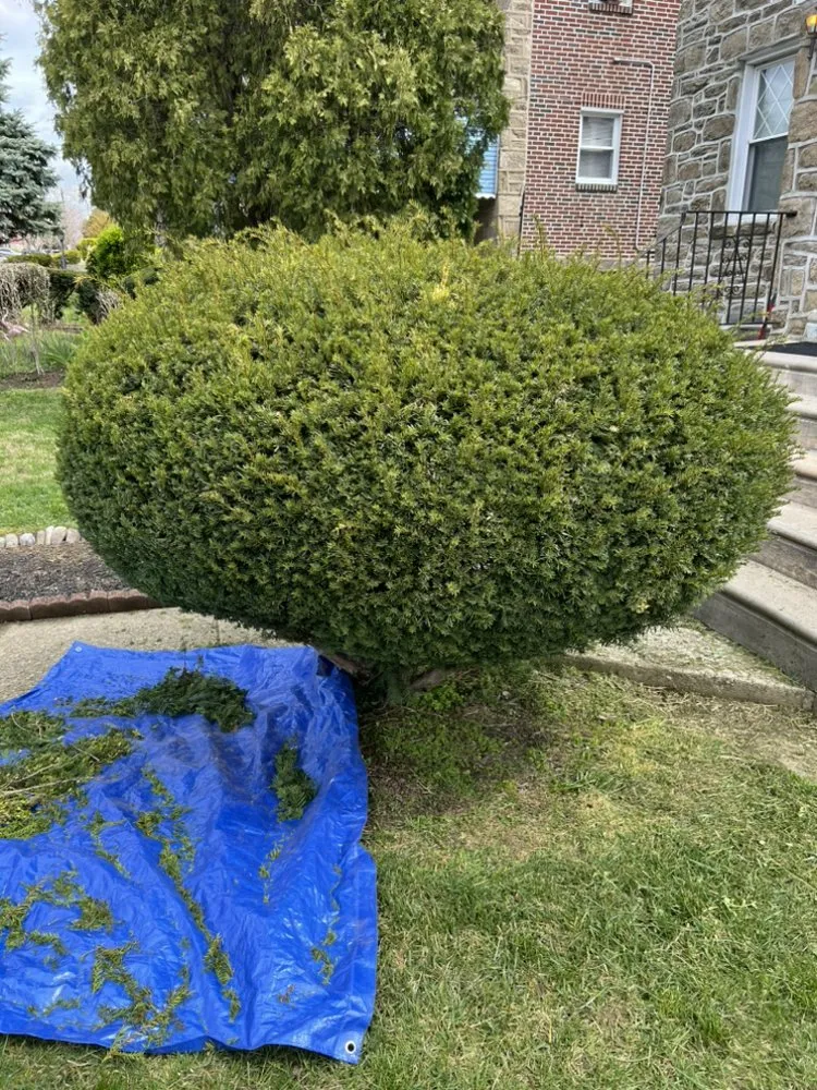 Local yard maintenance in Philadelphia, PA by Sharpe Edge Landscaping
