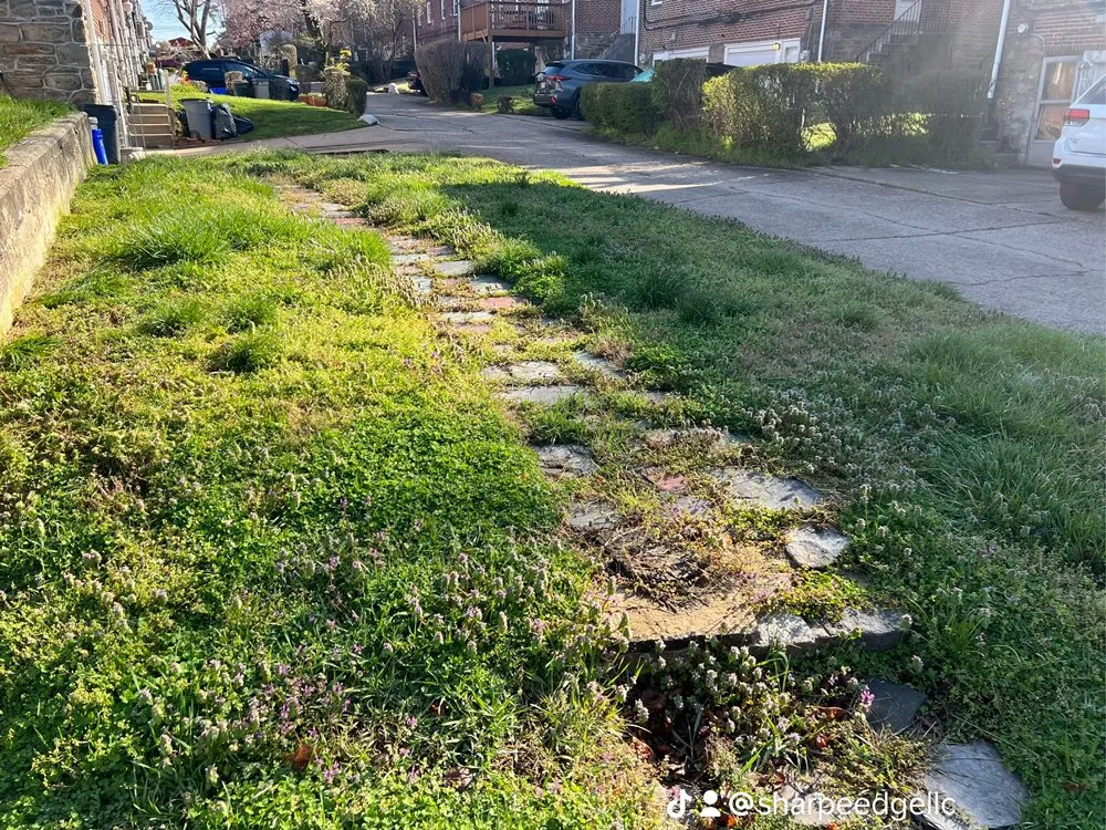 Custom garden landscaping experts serving Philadelphia, PA - Sharpe Edge Landscaping