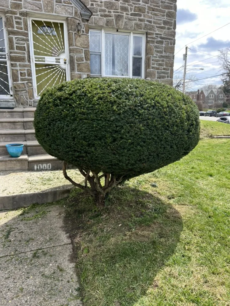 Professional yard cleanup service experts serving Philadelphia, PA - Sharpe Edge Landscaping