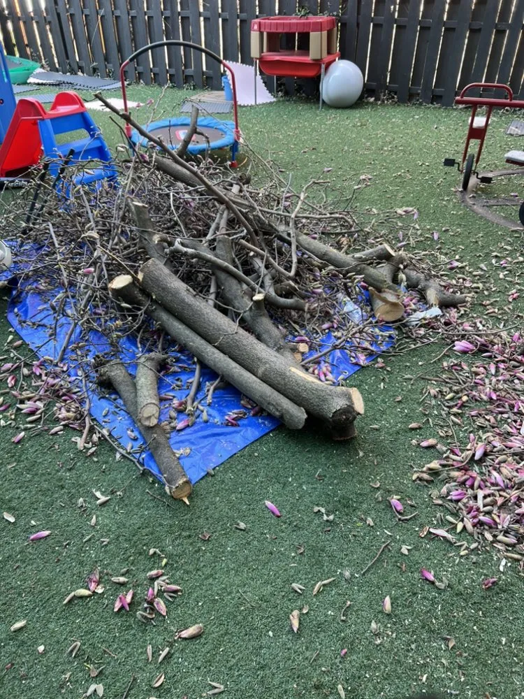 Affordable landscape design in Philadelphia, PA - Sharpe Edge Landscaping