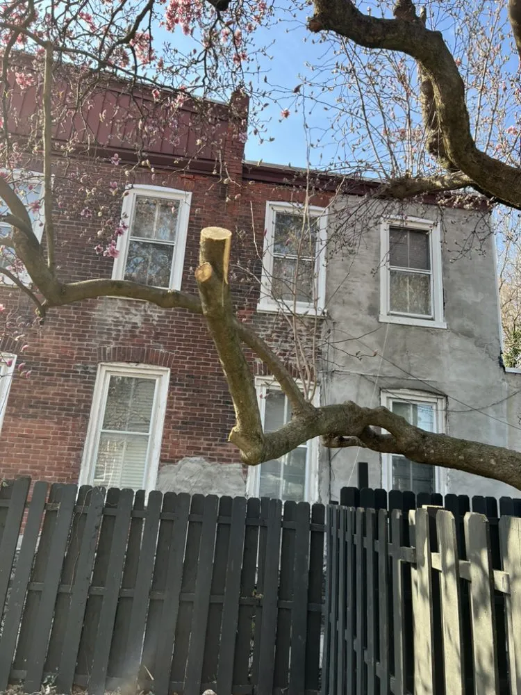 Reliable residential landscaping with custom design in Philadelphia, PA by Sharpe Edge Landscaping