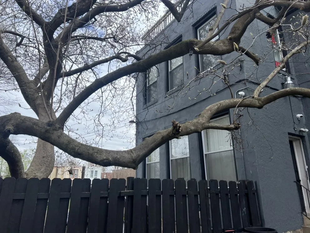 Affordable outdoor landscaping experts serving Philadelphia, PA - Sharpe Edge Landscaping