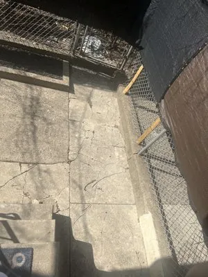 Sharpe Edge Landscaping Logo