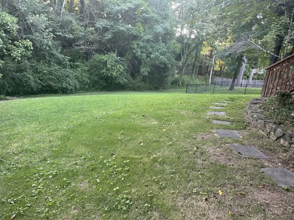 Custom yard cleanup service experts serving Birmingham, AL - Sharpe Finish Lawn and Land Services