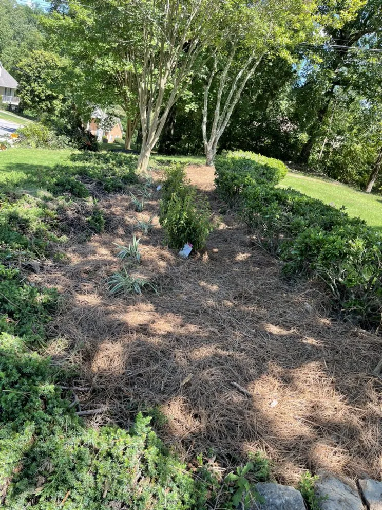 Top-rated yard maintenance for outdoor upgrades in Birmingham, AL by Sharpe Finish Lawn and Land Services