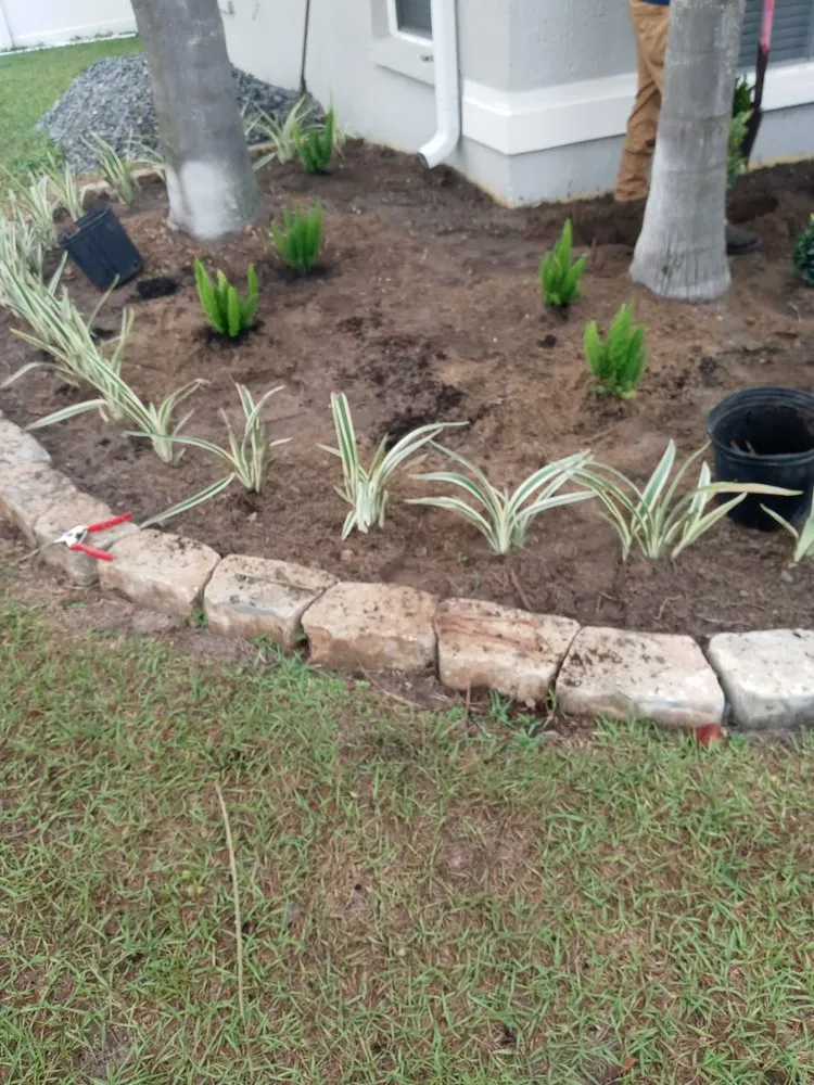 Expert outdoor landscaping in Lakeland, FL by Sharpe Landscape Designz