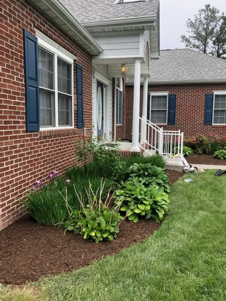 Top-rated yard maintenance for beautiful yards across Lewes, DE - Sharper Image Landscapes