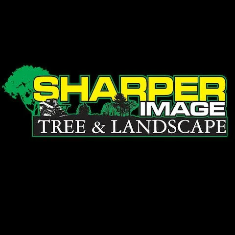 Trusted lawn mowing service for residential properties in Franklin, KY by Sharper Image Tree & Landscape
