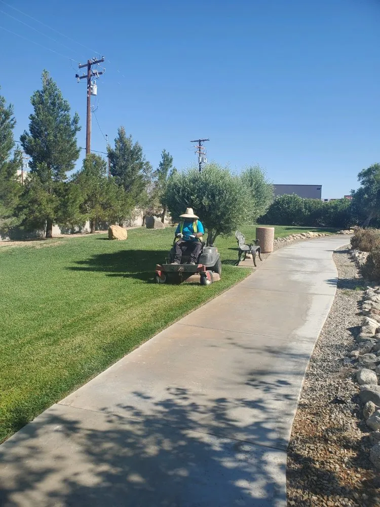 Expert landscape installation in California City, CA by Sharper Landscaping Services