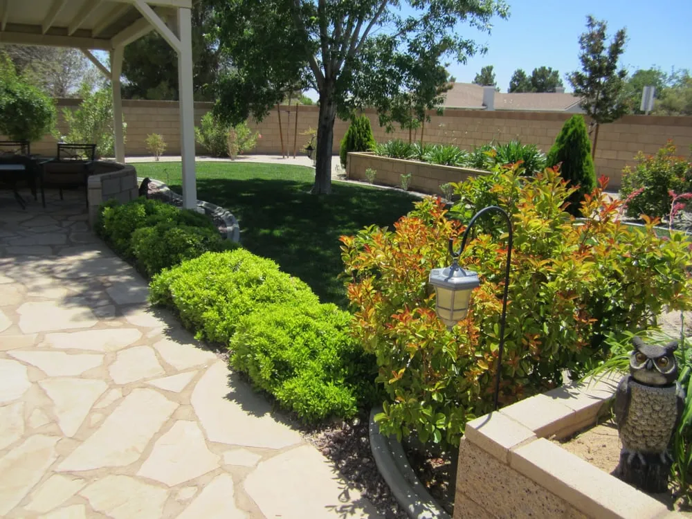 Custom residential landscaping in California City, CA - Sharper Landscaping Services