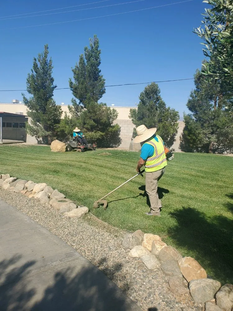 Top-rated landscape installation for homes in California City, CA by Sharper Landscaping Services