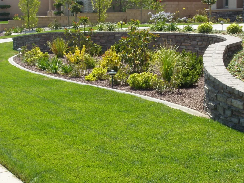 Trusted yard cleanup service in California City, CA - Sharper Landscaping Services